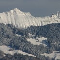 Vignes neige Chardonne - 061